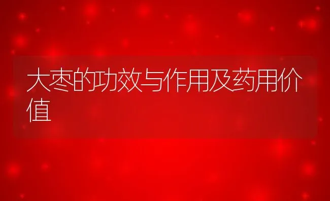 大枣的功效与作用及药用价值 | 养殖资料投稿