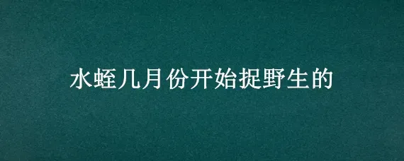 水蛭几月份开始捉野生的