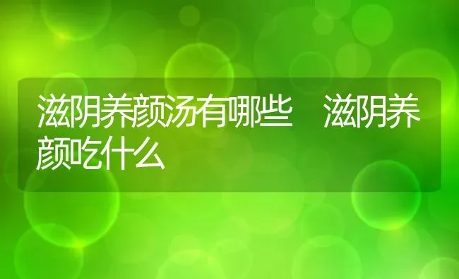 滋阴养颜汤有哪些 滋阴养颜吃什么 | 养殖资料投稿