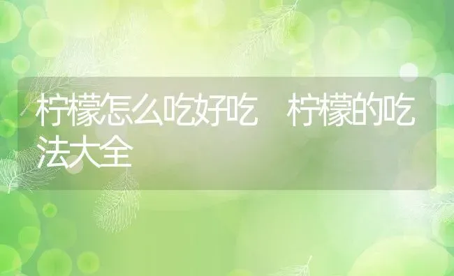 柠檬怎么吃好吃 柠檬的吃法大全 | 养殖资料投稿