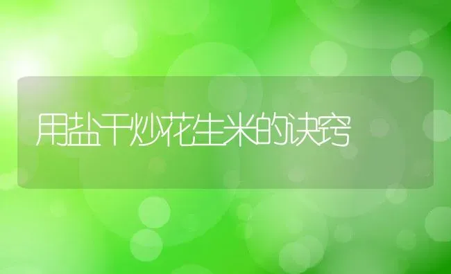 用盐干炒花生米的诀窍 | 养殖资料投稿