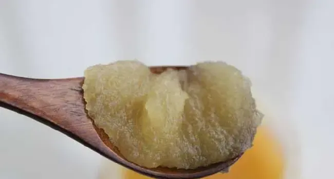 假蜂蜜的特点有哪些