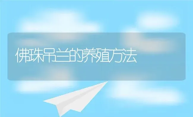 佛珠吊兰的养殖方法 | 养殖资料投稿