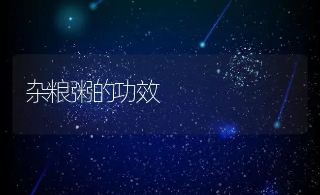 杂粮粥的功效 | 养殖资料投稿