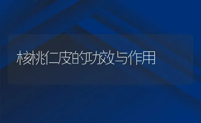 核桃仁皮的功效与作用 | 养殖资料投稿