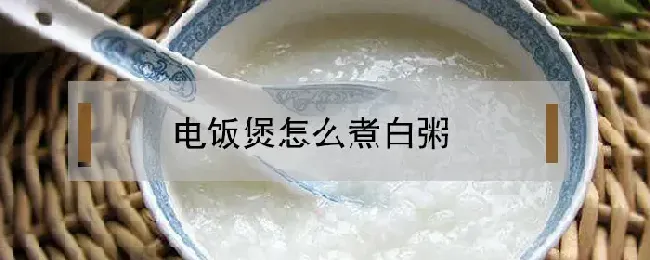 电饭煲怎么煮白粥