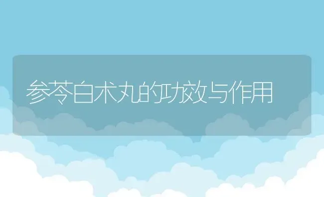 参苓白术丸的功效与作用 | 养殖资料投稿