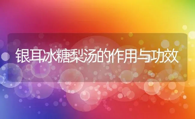 银耳冰糖梨汤的作用与功效 | 养殖资料投稿