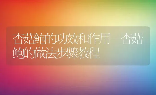 杏菇鲍的功效和作用 杏菇鲍的做法步骤教程 | 养殖资料投稿