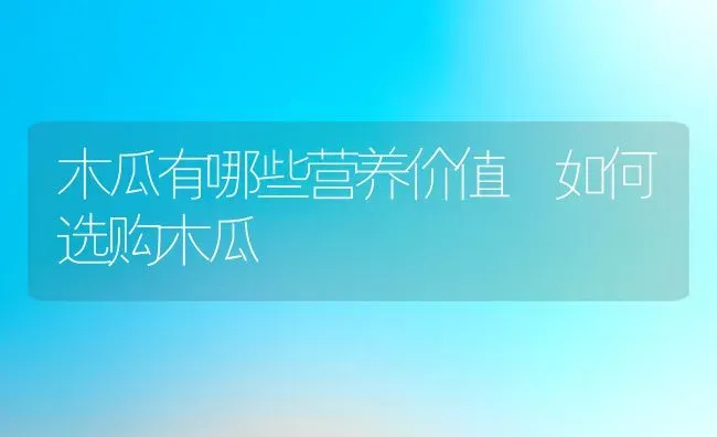 木瓜有哪些营养价值 如何选购木瓜 | 养殖资料投稿