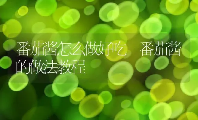 番茄酱怎么做好吃 番茄酱的做法教程 | 养殖资料投稿