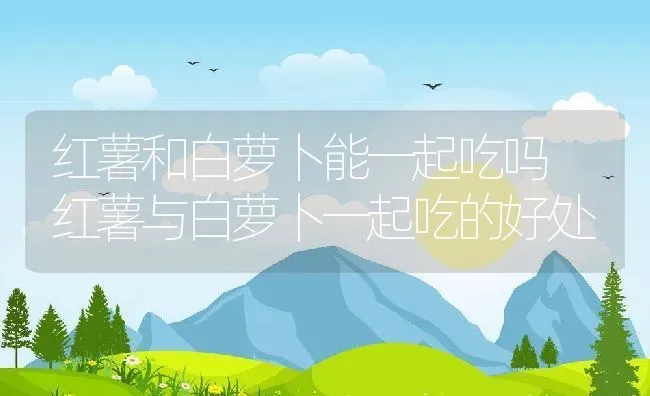 红薯和白萝卜能一起吃吗 红薯与白萝卜一起吃的好处 | 养殖资料投稿