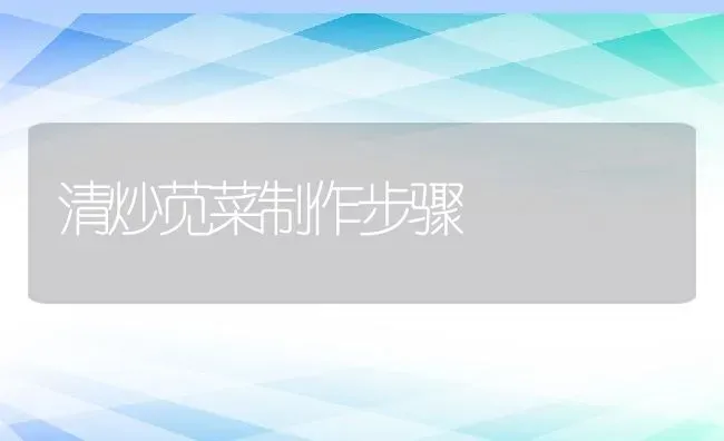 清炒苋菜制作步骤 | 养殖资料投稿