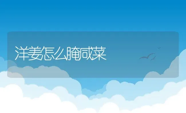 洋姜怎么腌咸菜 | 养殖资料投稿