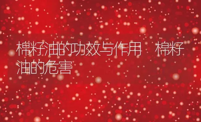 棉籽油的功效与作用 棉籽油的危害 | 养殖资料投稿