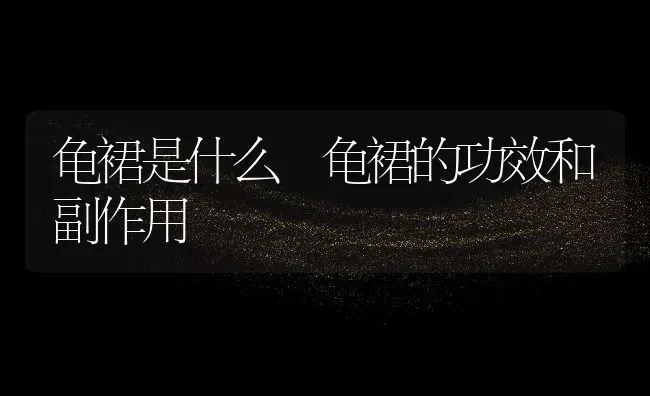 龟裙是什么 龟裙的功效和副作用 | 养殖资料投稿