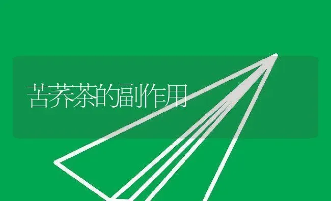 苦荞茶的副作用 | 养殖资料投稿