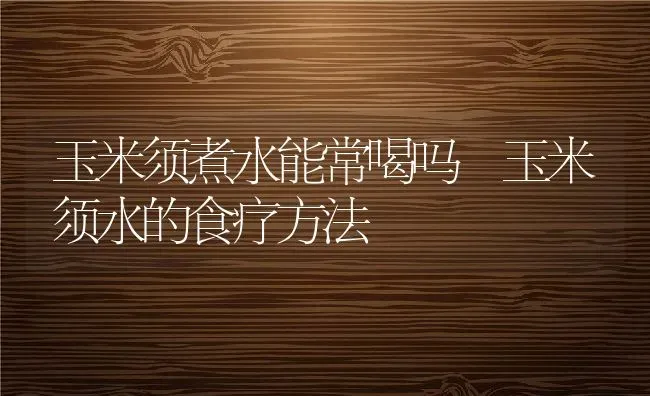玉米须煮水能常喝吗 玉米须水的食疗方法 | 养殖资料投稿
