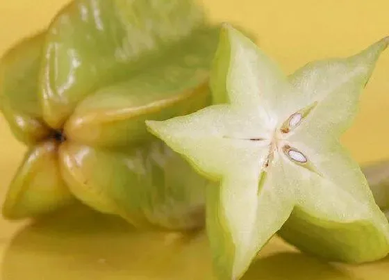 蔬菜|杨桃是水果还是蔬菜