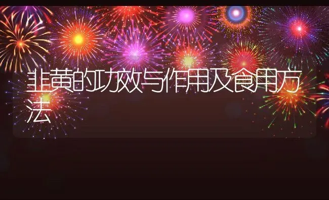 韭黄的功效与作用及食用方法 | 养殖资料投稿
