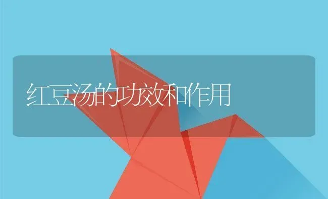 红豆汤的功效和作用 | 养殖资料投稿