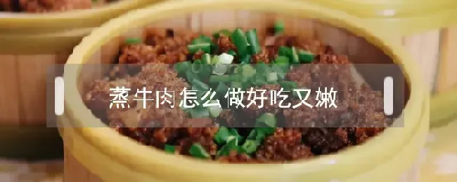 蒸牛肉怎么做好吃又嫩
