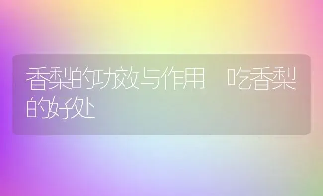 香梨的功效与作用 吃香梨的好处 | 养殖资料投稿
