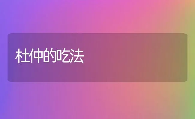 杜仲的吃法 | 养殖资料投稿