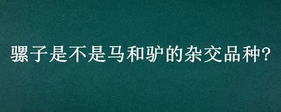 骡子是不是马和驴的杂交品种?