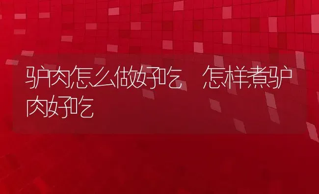 驴肉怎么做好吃 怎样煮驴肉好吃 | 养殖资料投稿