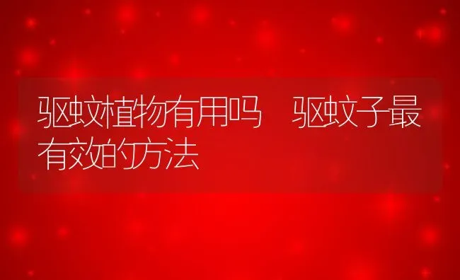 驱蚊植物有用吗 驱蚊子最有效的方法 | 养殖资料投稿