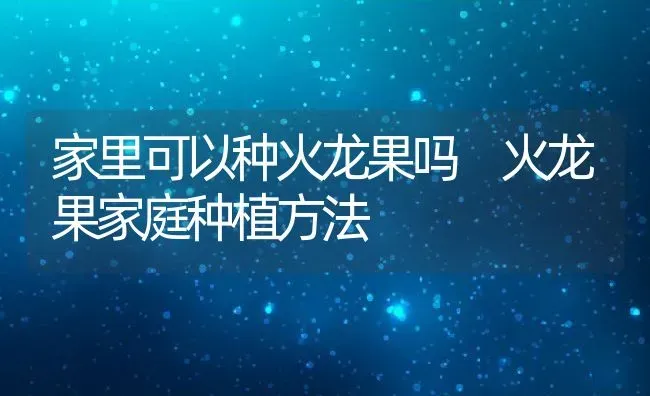 家里可以种火龙果吗 火龙果家庭种植方法 | 养殖资料投稿