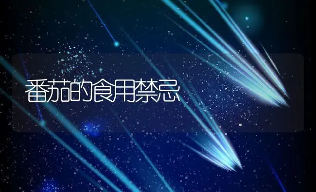 番茄的食用禁忌 | 养殖资料投稿