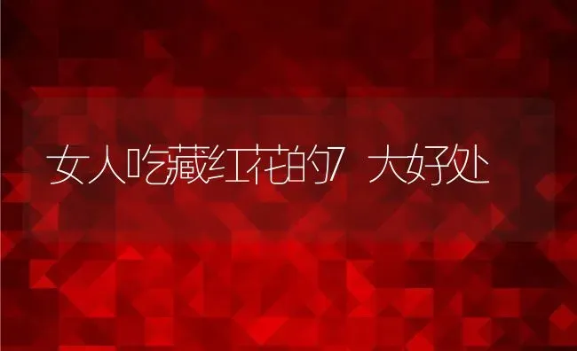 女人吃藏红花的7大好处 | 养殖资料投稿