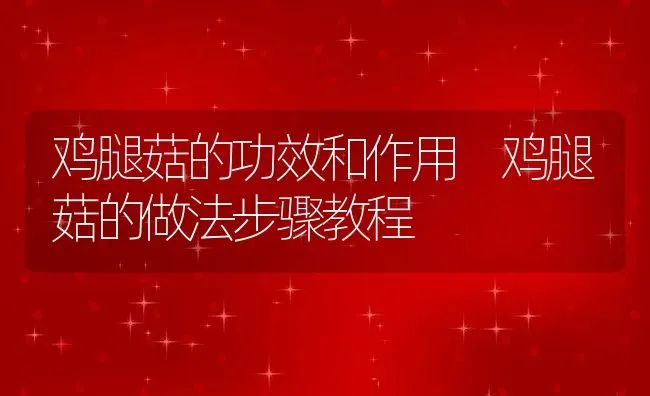 鸡腿菇的功效和作用 鸡腿菇的做法步骤教程 | 养殖资料投稿