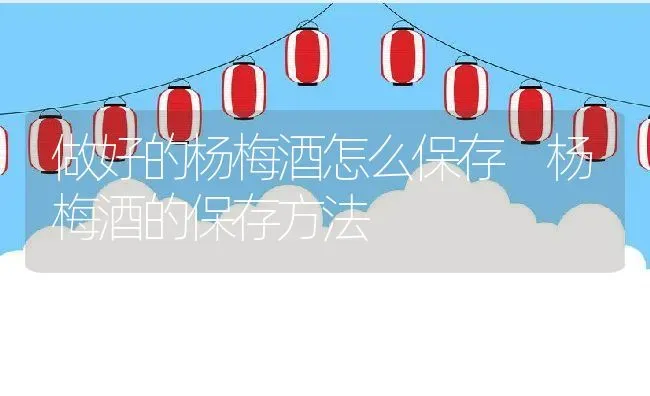 做好的杨梅酒怎么保存 杨梅酒的保存方法 | 养殖资料投稿