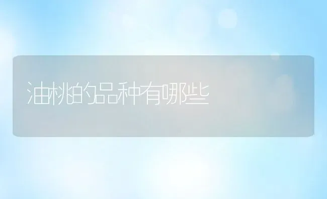 油桃的品种有哪些 | 养殖资料投稿