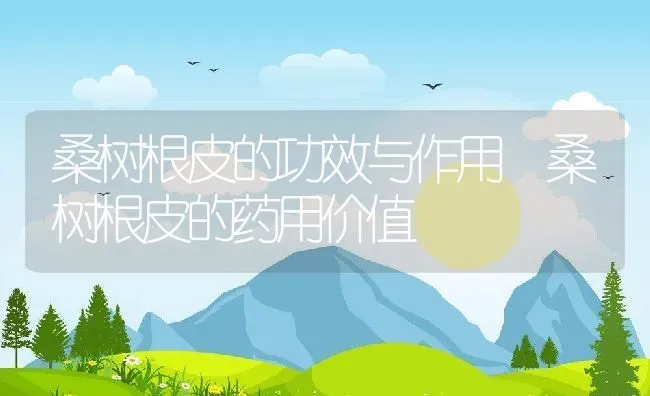 桑树根皮的功效与作用 桑树根皮的药用价值 | 养殖资料投稿