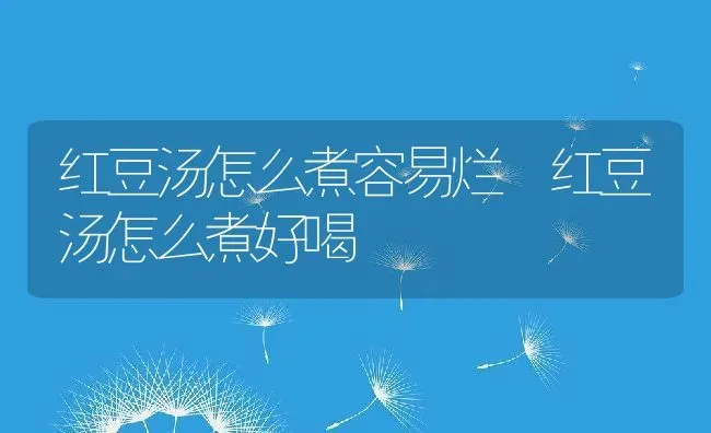 红豆汤怎么煮容易烂 红豆汤怎么煮好喝 | 养殖资料投稿