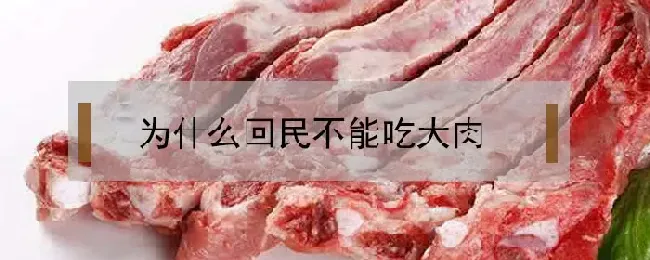 为什么回民不能吃大肉