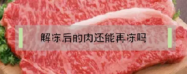 解冻后的肉还能再冻吗