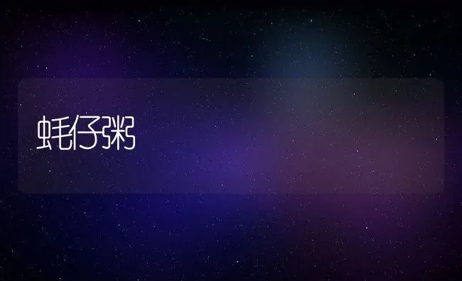 蚝仔粥 | 养殖资讯