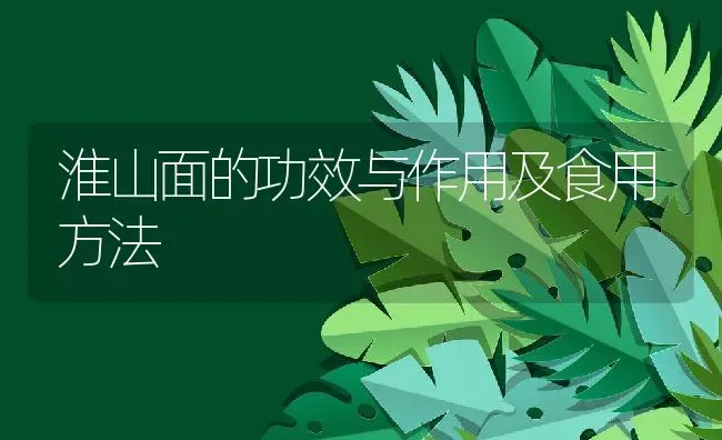 淮山面的功效与作用及食用方法 | 养殖资料投稿