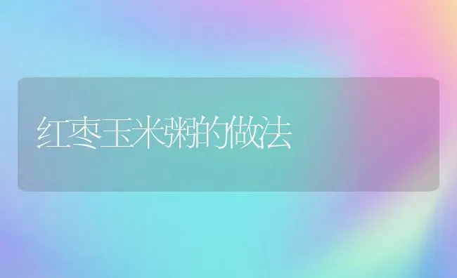 红枣玉米粥的做法 | 养殖资料投稿