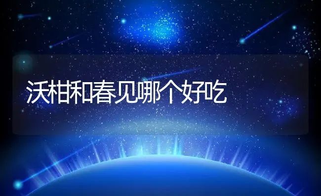 沃柑和春见哪个好吃 | 养殖资讯