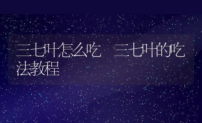 三七叶怎么吃 三七叶的吃法教程 | 养殖资料投稿