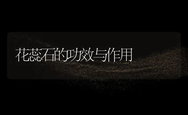 花蕊石的功效与作用 | 养殖资料投稿