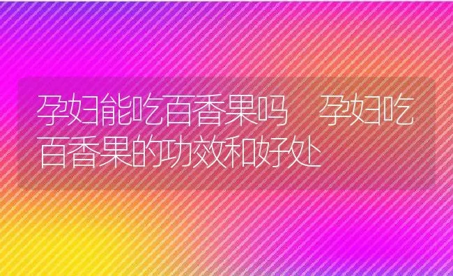 孕妇能吃百香果吗 孕妇吃百香果的功效和好处 | 养殖资料投稿