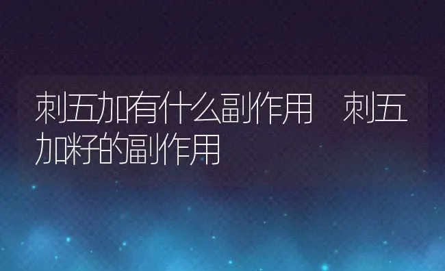 刺五加有什么副作用 刺五加籽的副作用 | 养殖资料投稿