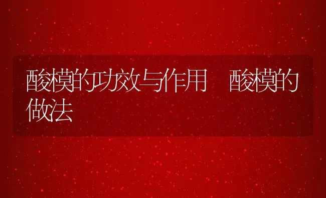 酸模的功效与作用 酸模的做法 | 养殖资料投稿